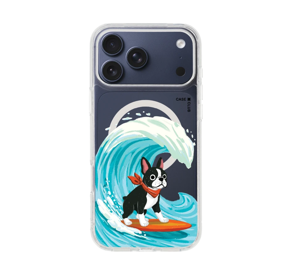 บอสตันเทอร์เรียร์โต้คลื่น