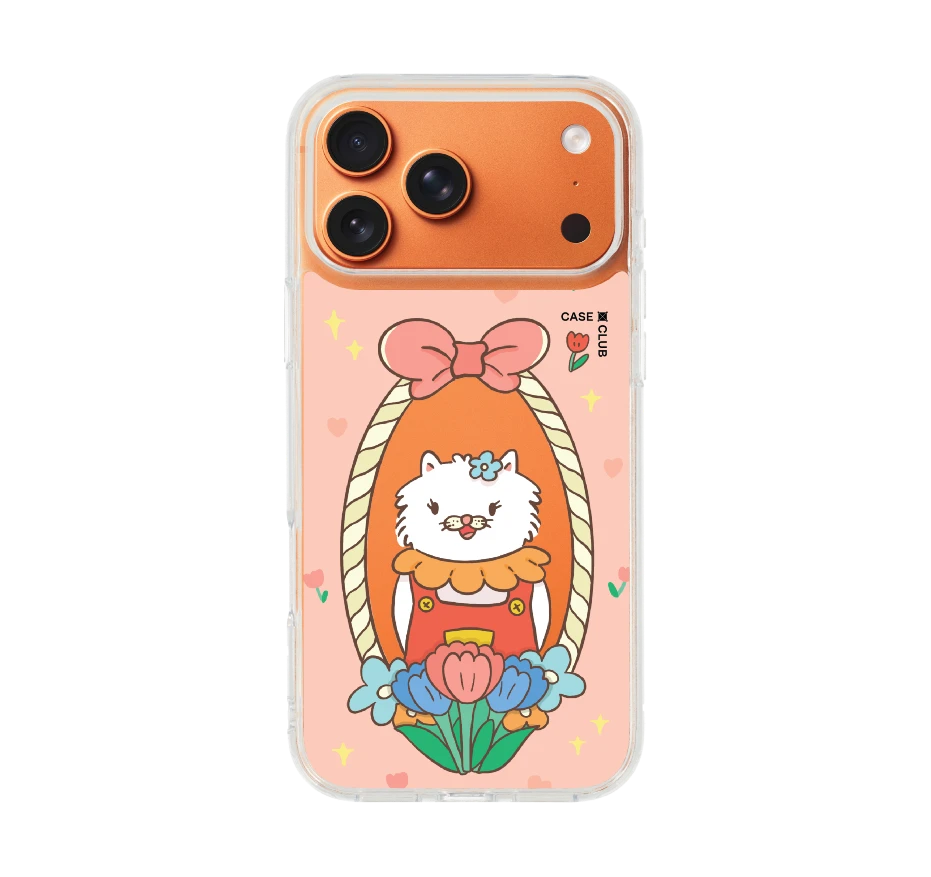 แมวเปอร์เซียกรอบริบบิ้นสดใส