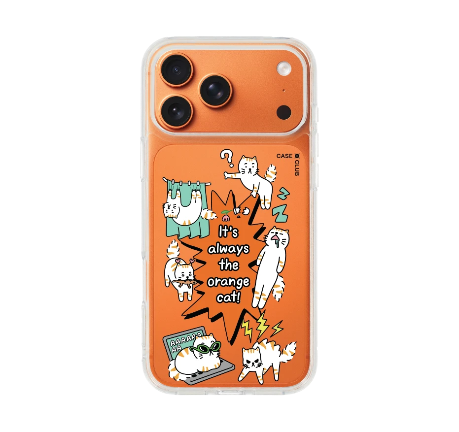 คำคมแมวส้ม salmon cat