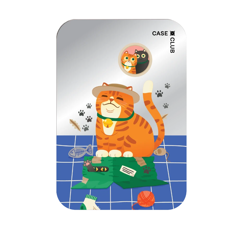 แมวหมวกฟางนักผจญภัย