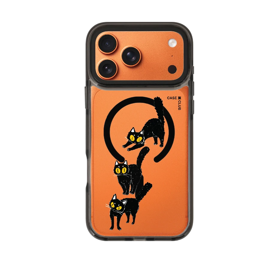 แมวดำนำโชค