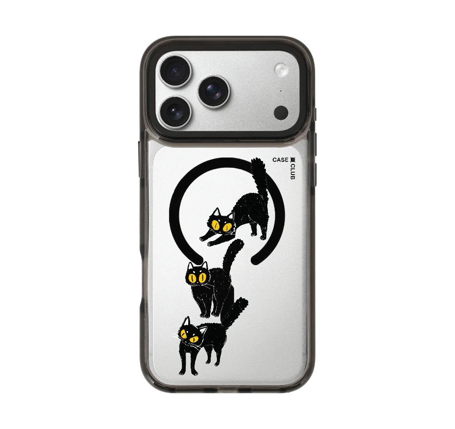 แมวดำนำโชค