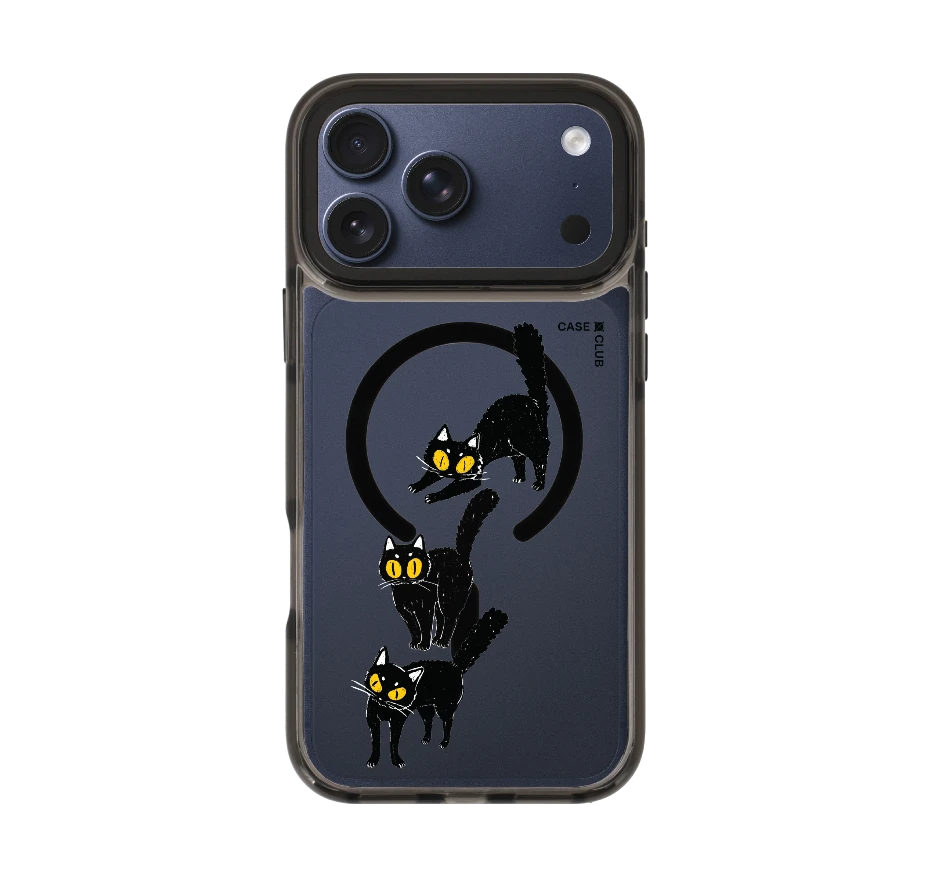 แมวดำนำโชค