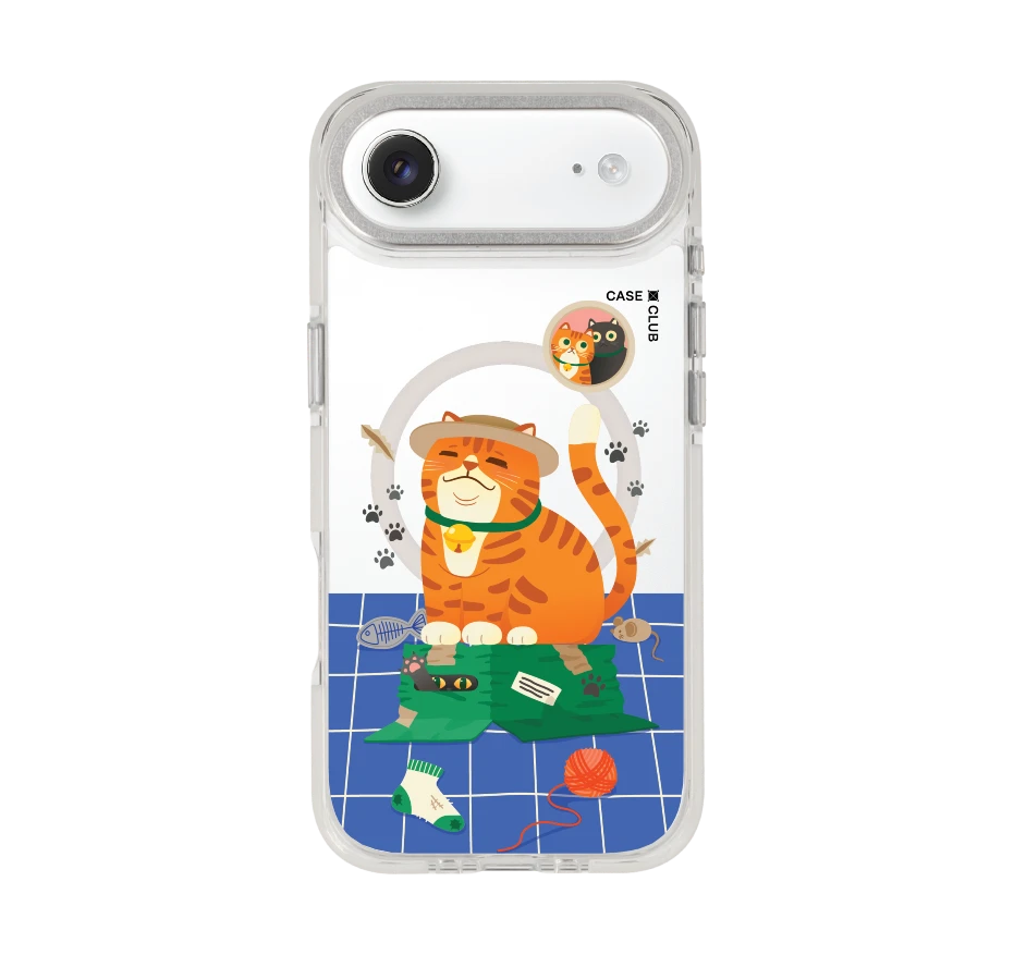 orange cat on the box