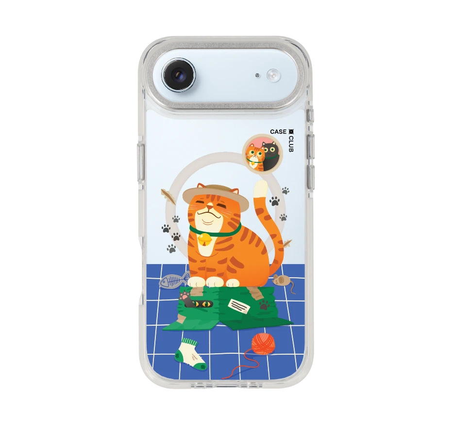 orange cat on the box