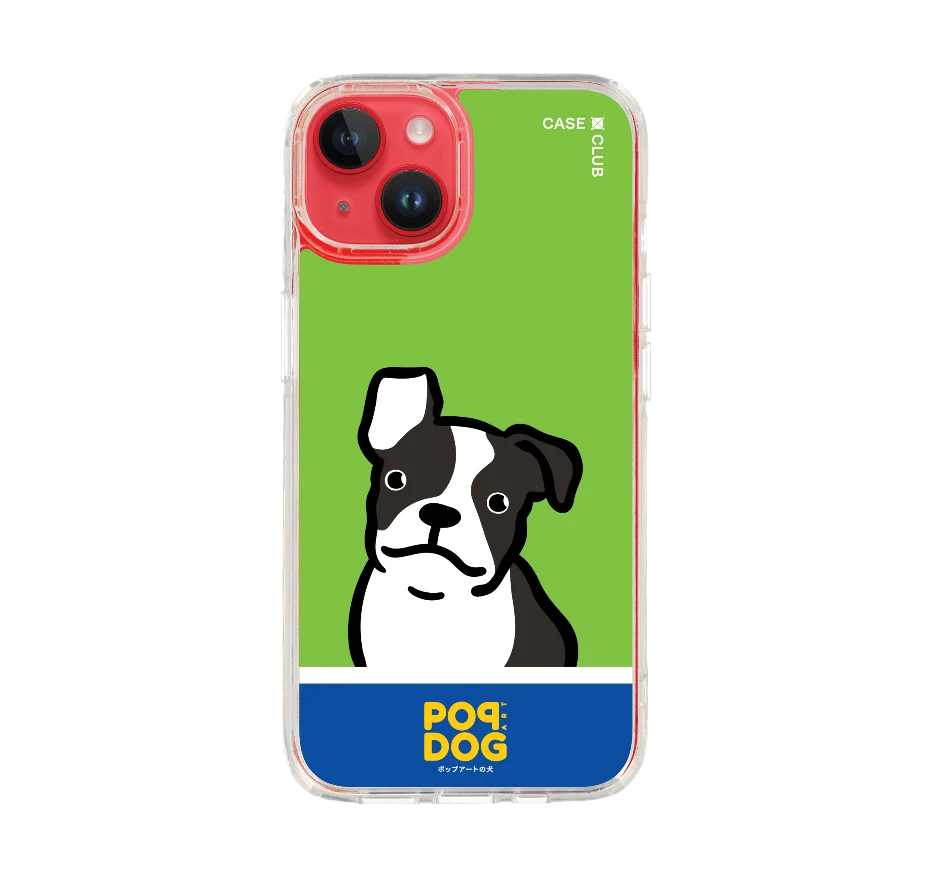 join the club boston terrier
