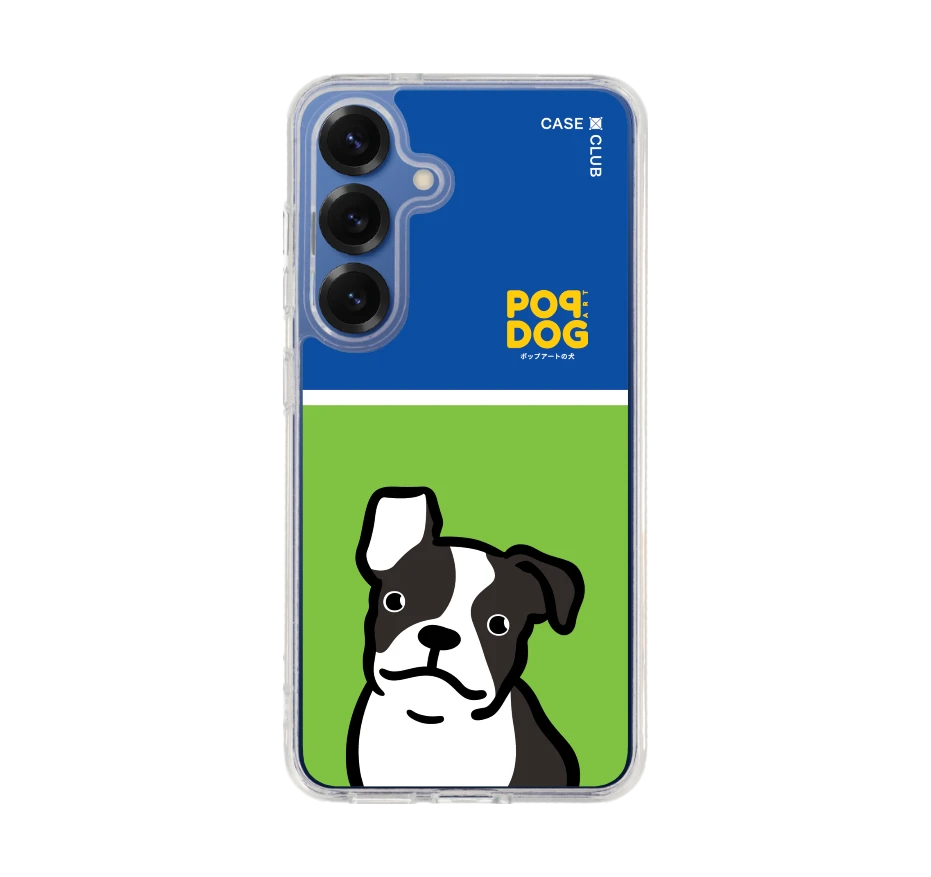 join the club boston terrier