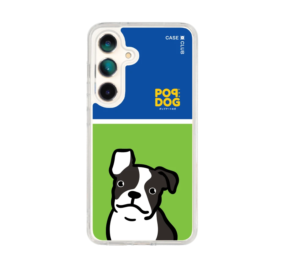 join the club boston terrier