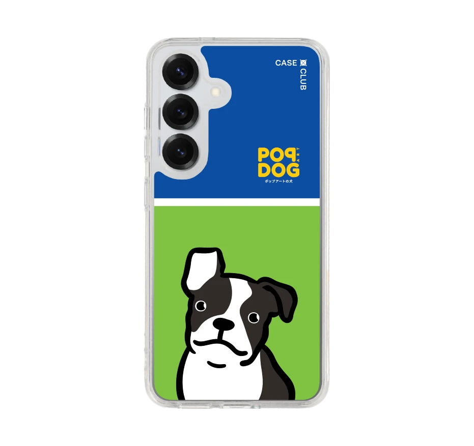 join the club boston terrier