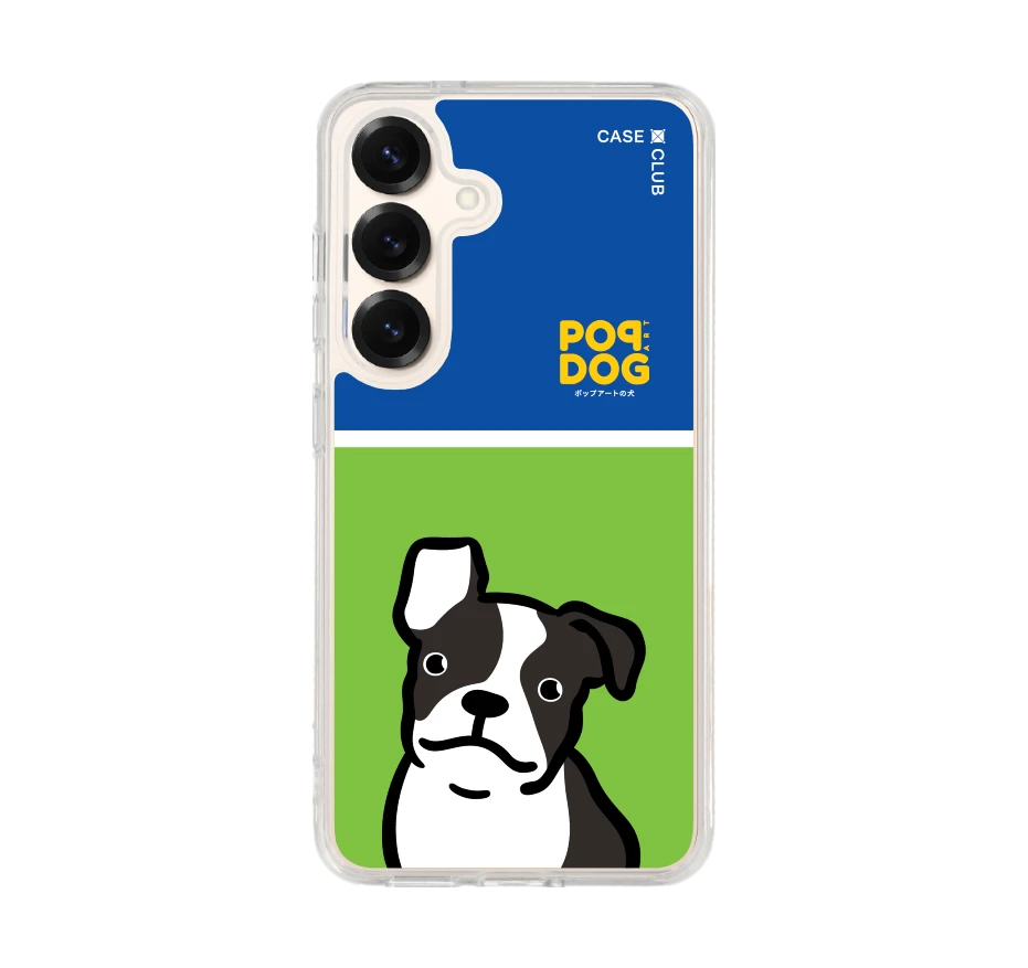 join the club boston terrier