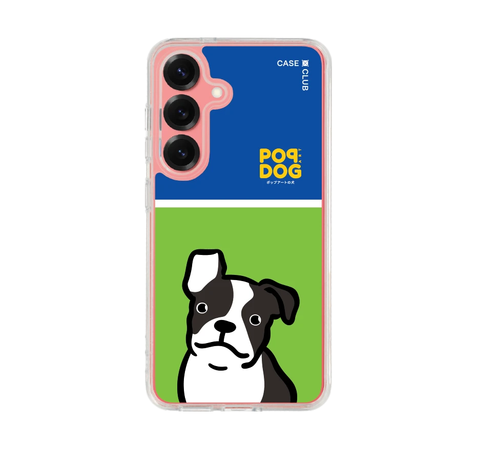 join the club boston terrier