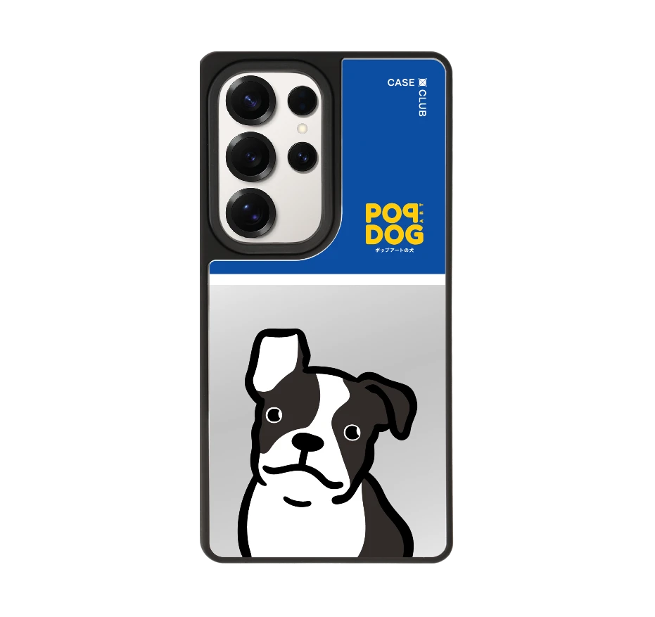 join the club บอสตัน เทอร์เรียร์