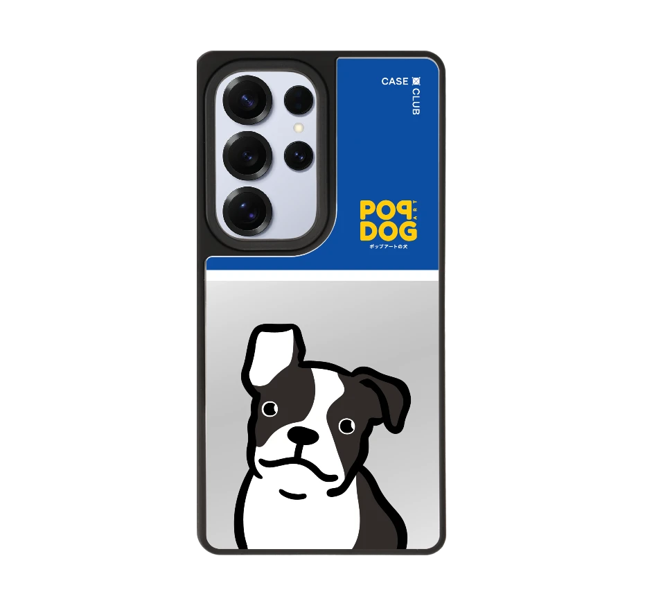 join the club บอสตัน เทอร์เรียร์