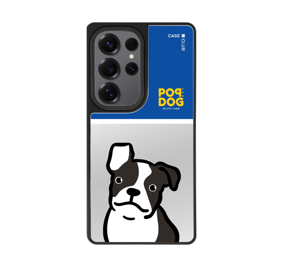 join the club บอสตัน เทอร์เรียร์