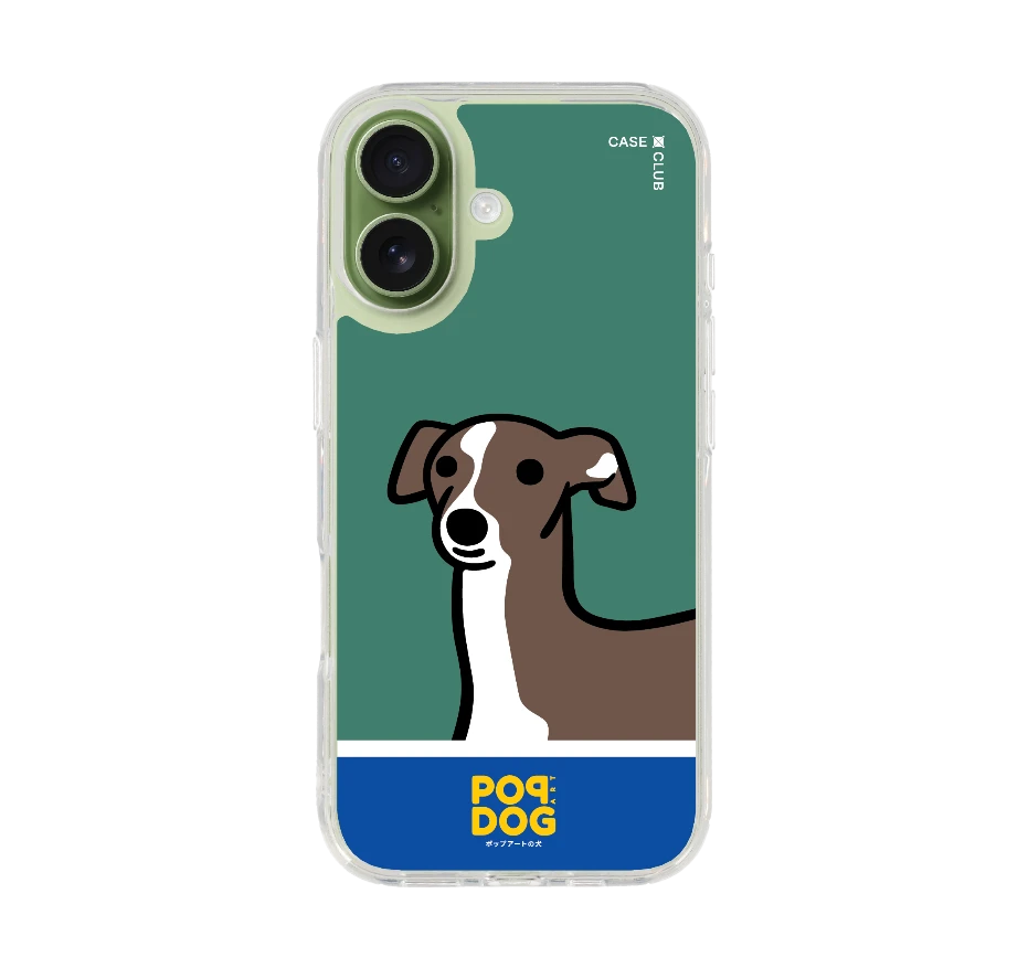 join the club อิตาเลี่ยน เกรย์ฮาวด์