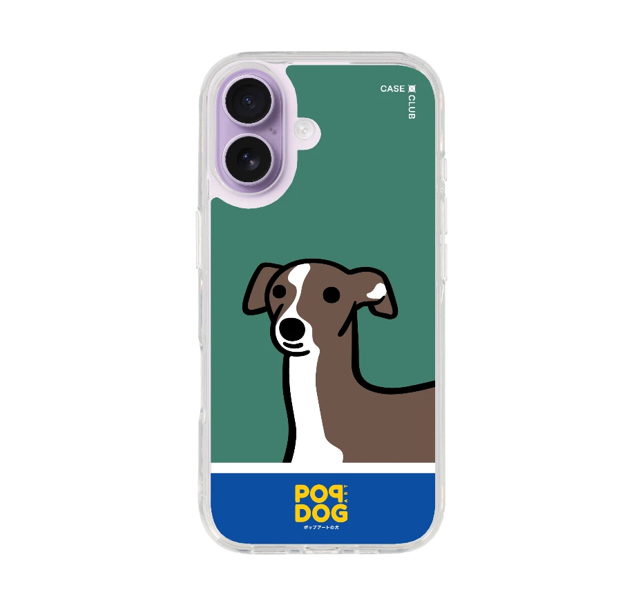 join the club อิตาเลี่ยน เกรย์ฮาวด์