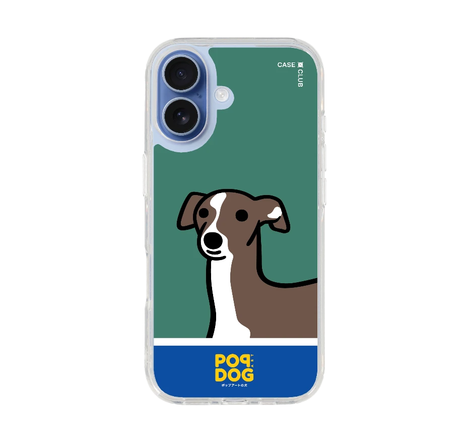 join the club อิตาเลี่ยน เกรย์ฮาวด์