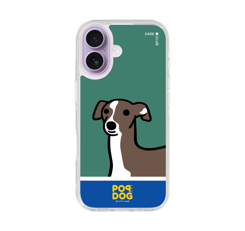 join the club อิตาเลี่ยน เกรย์ฮาวด์