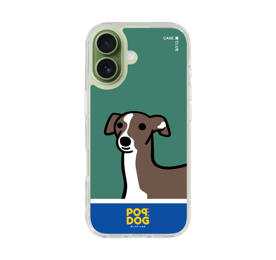 join the club อิตาเลี่ยน เกรย์ฮาวด์