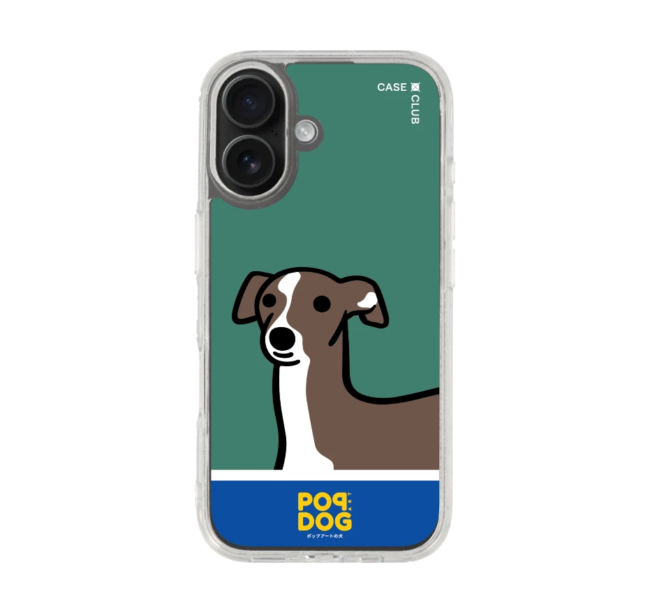 join the club อิตาเลี่ยน เกรย์ฮาวด์