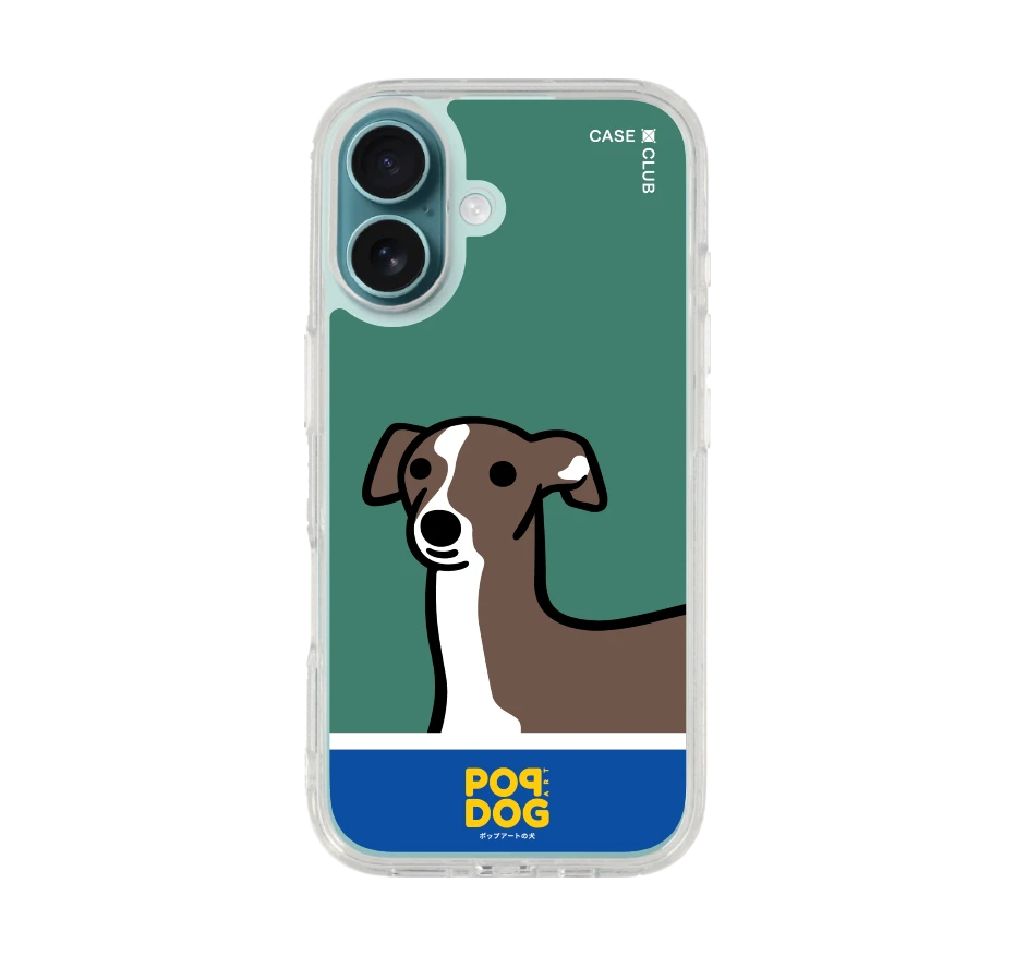 join the club อิตาเลี่ยน เกรย์ฮาวด์