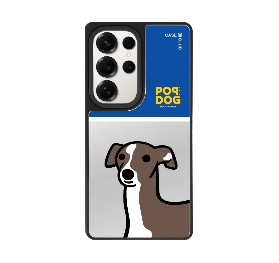 join the club อิตาเลี่ยน เกรย์ฮาวด์