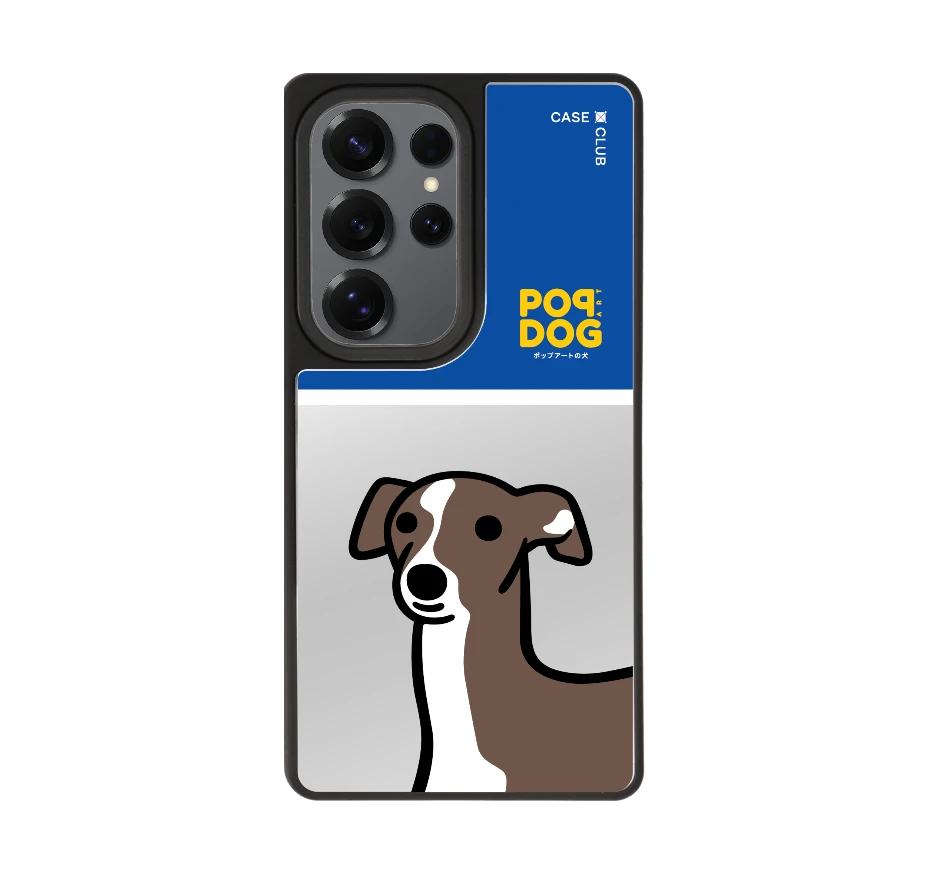 join the club อิตาเลี่ยน เกรย์ฮาวด์