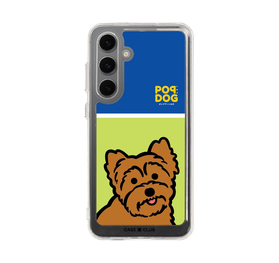 join the club ยอร์คเชียร์ เทอร์เรีย