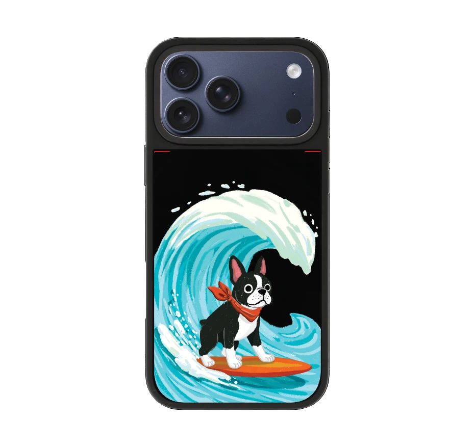 บอสตันเทอร์เรียร์โต้คลื่น