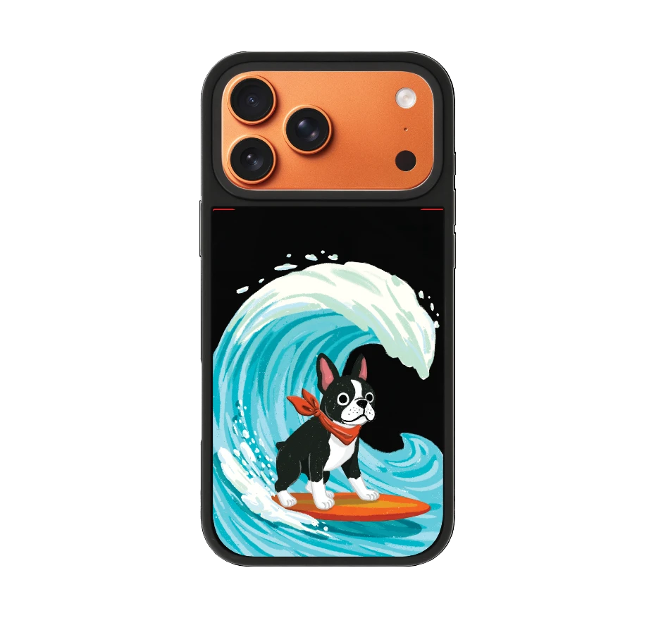 บอสตันเทอร์เรียร์โต้คลื่น