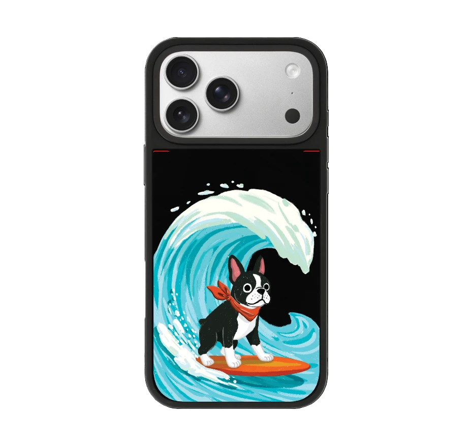 บอสตันเทอร์เรียร์โต้คลื่น