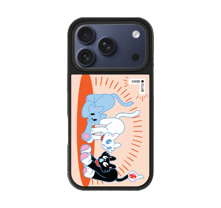 พลังแมวมารวมตัว