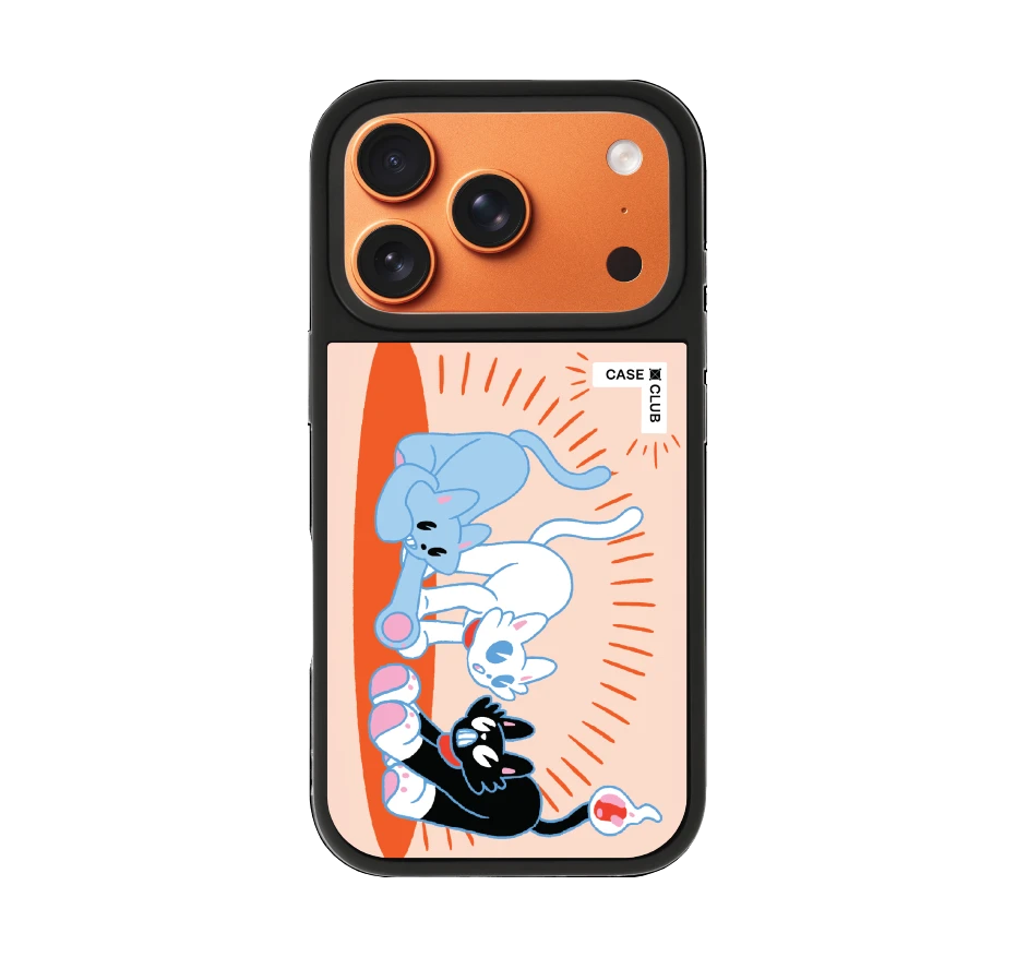 พลังแมวมารวมตัว