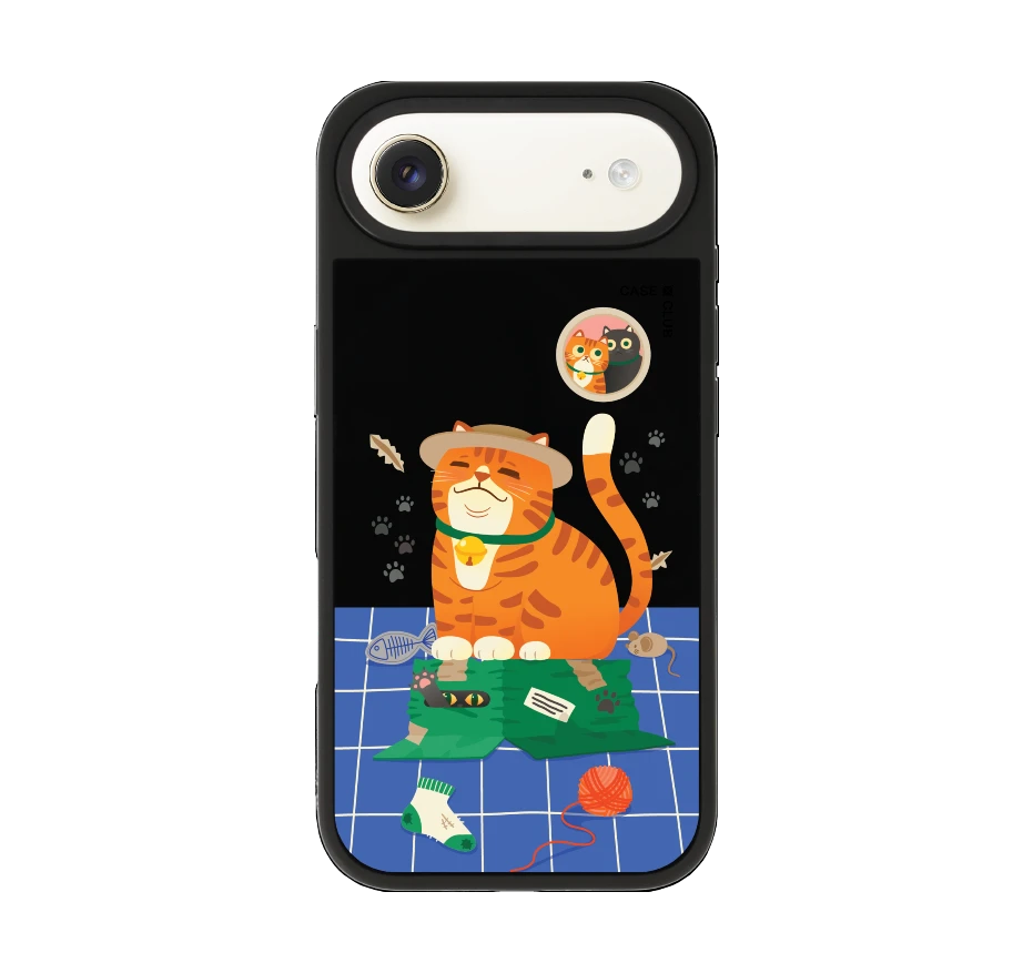 orange cat on the box