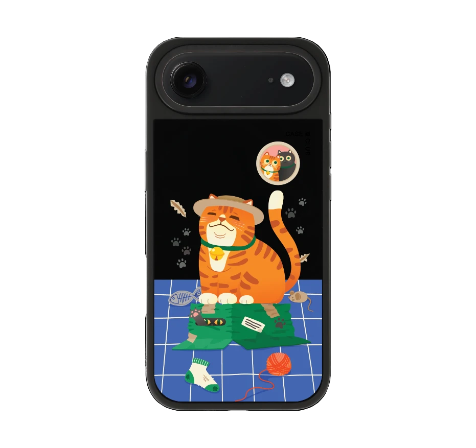 orange cat on the box