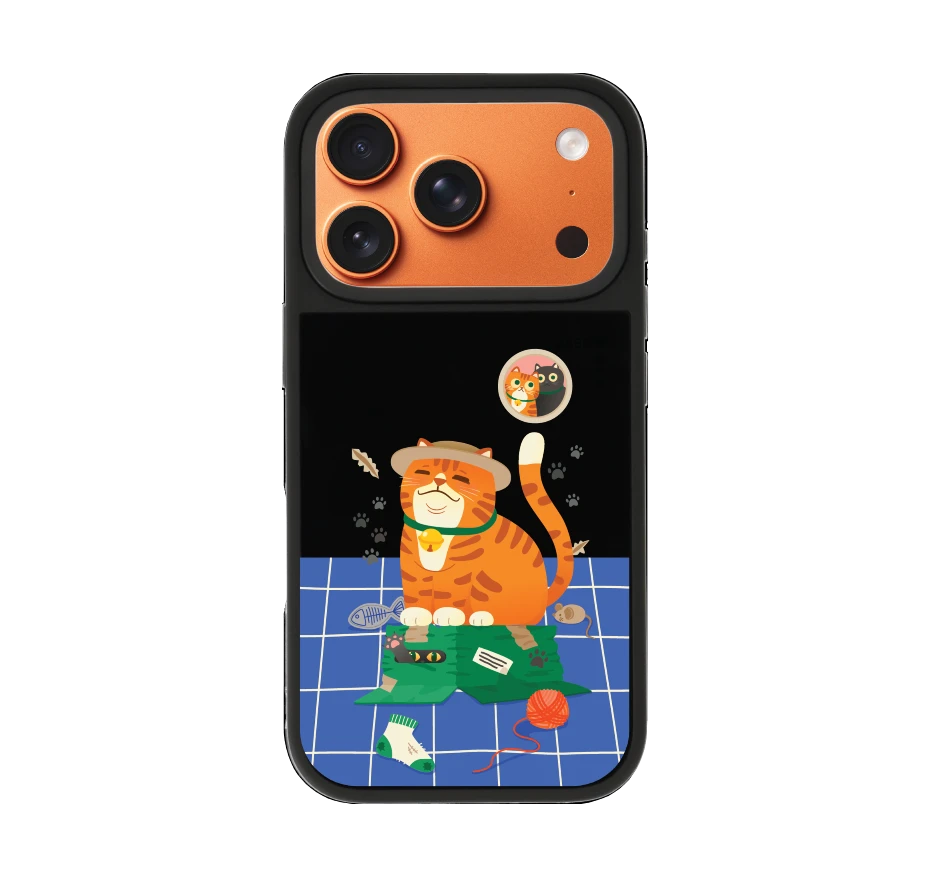 orange cat on the box