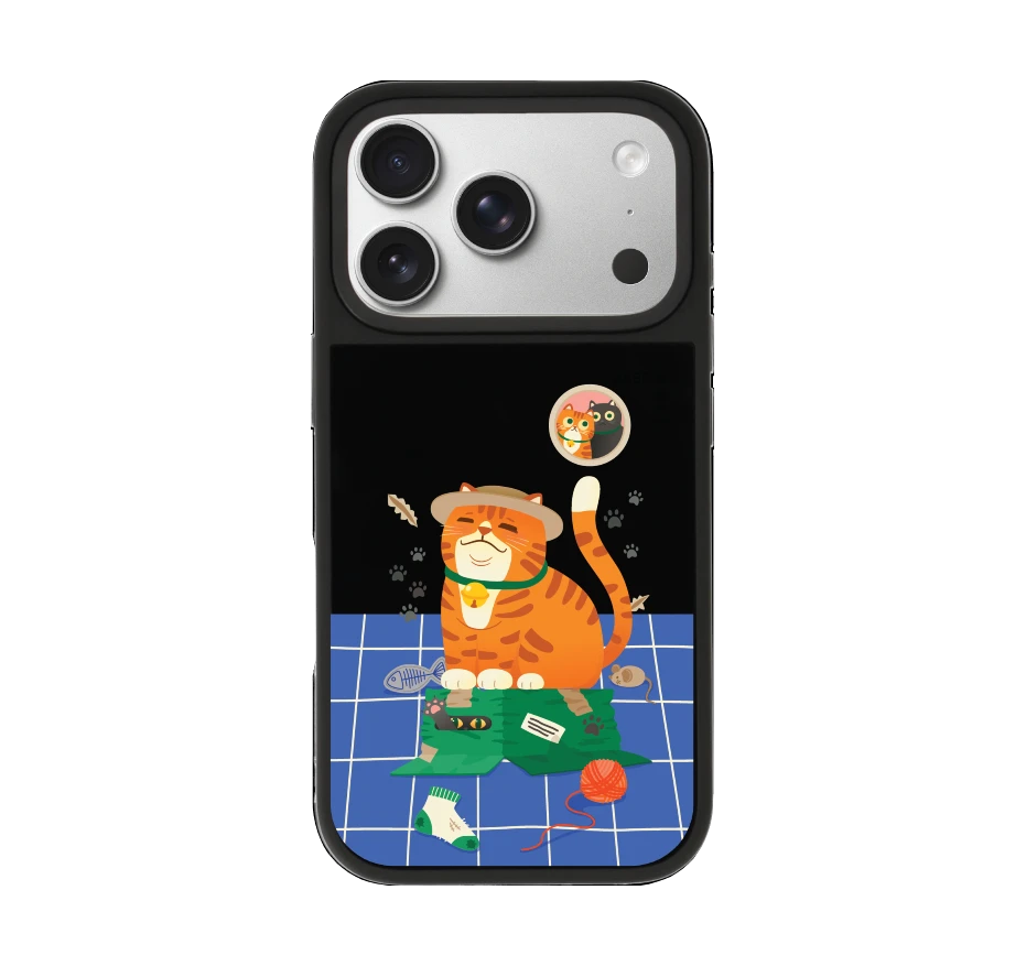 orange cat on the box