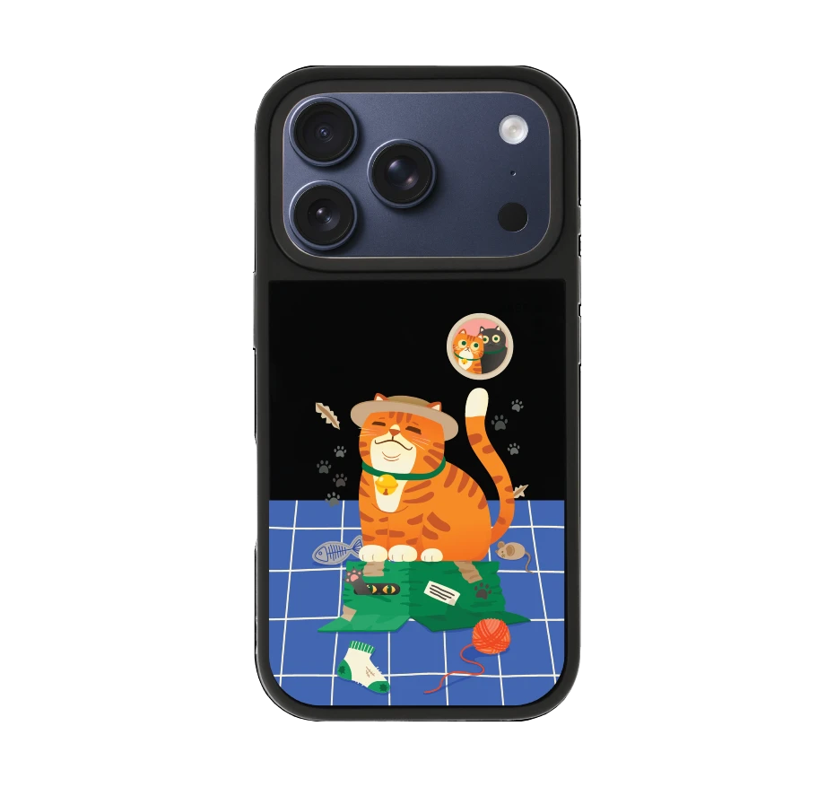 orange cat on the box