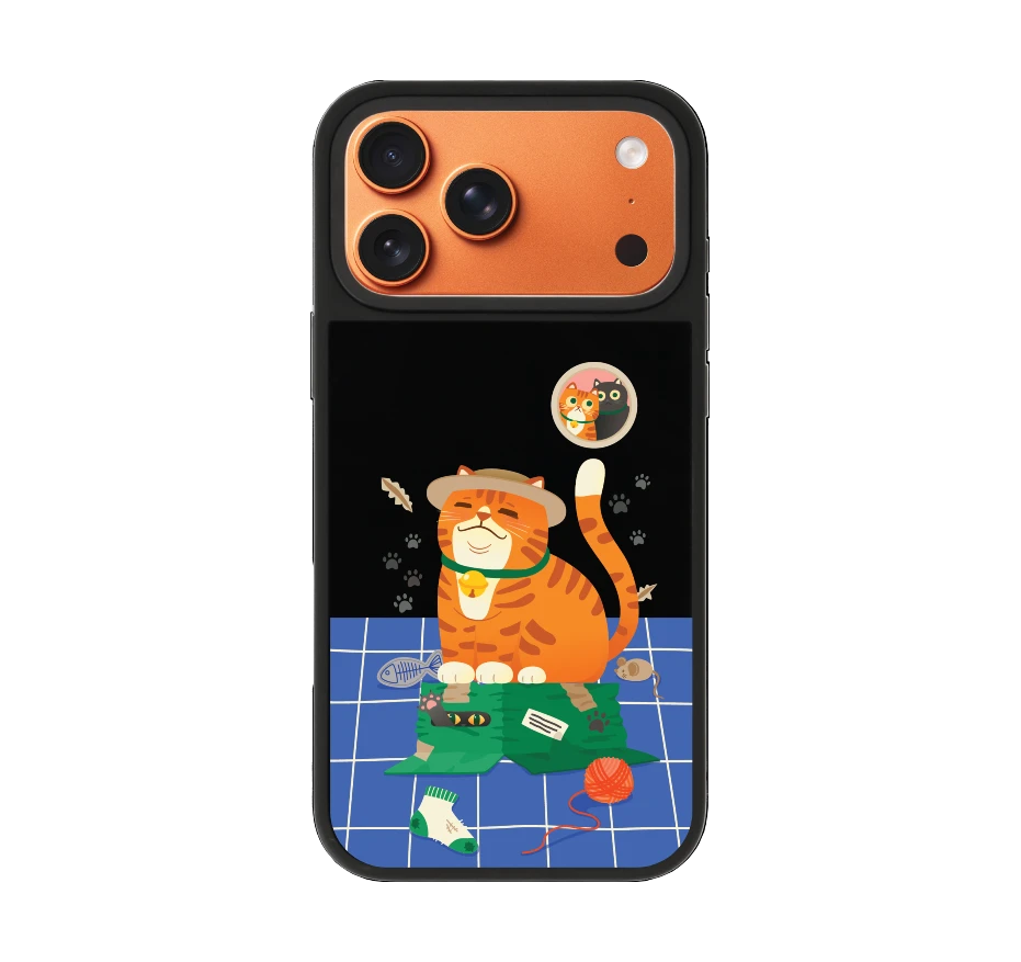 orange cat on the box