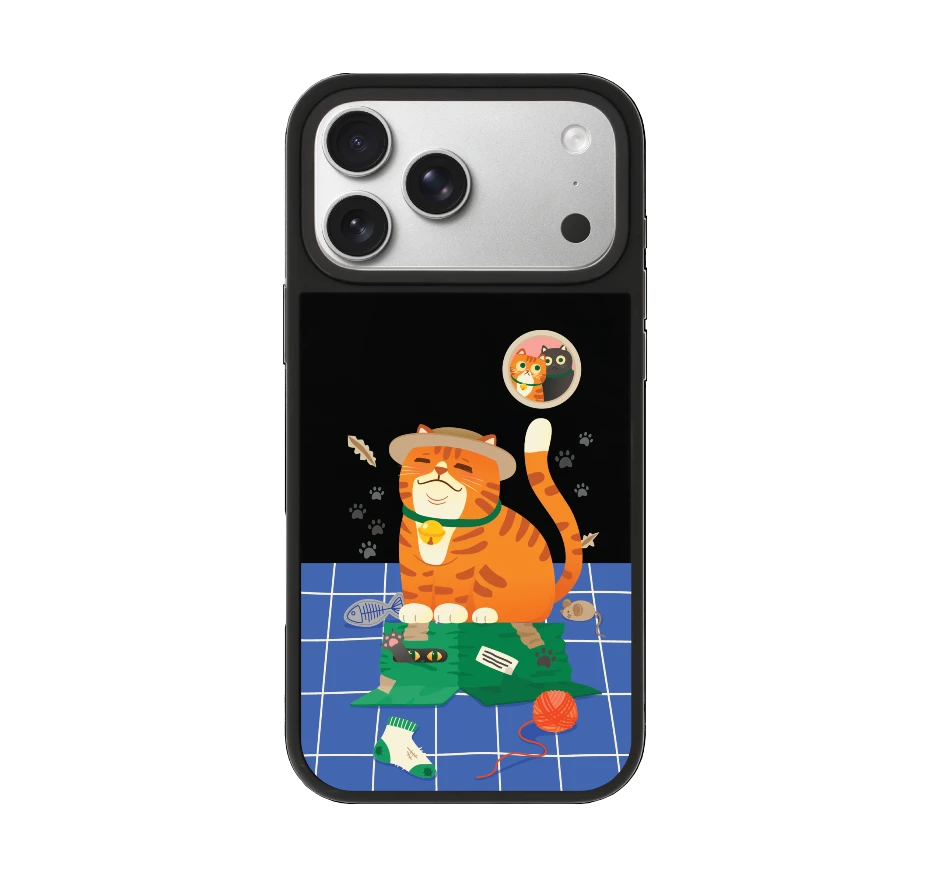 orange cat on the box