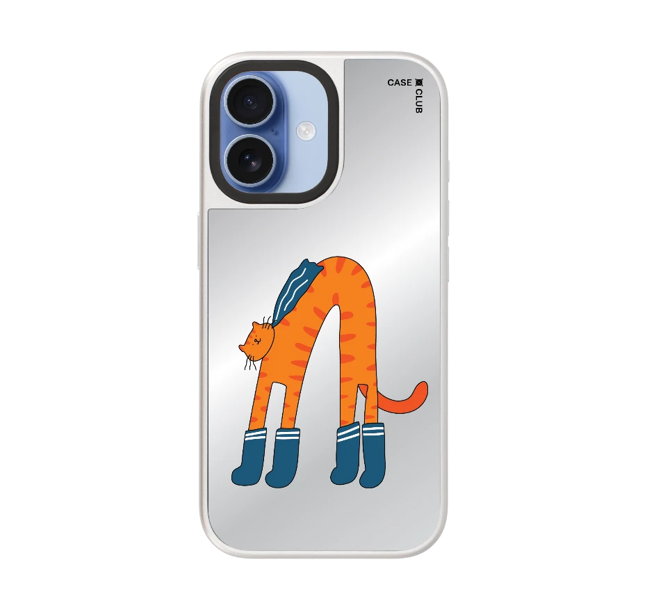 orange cat with blue sock