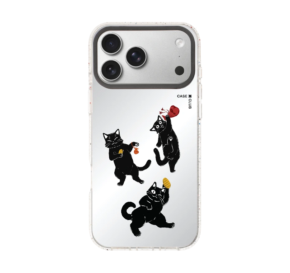 ชีวิตประจำวันของแมวดำ