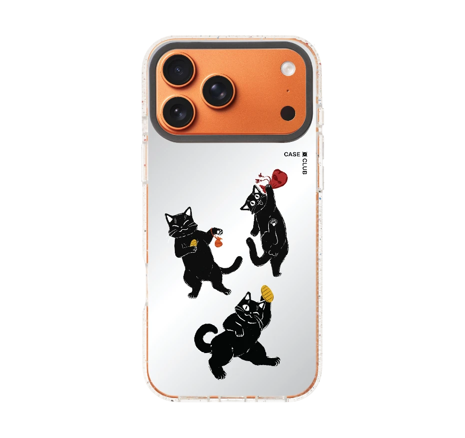 ชีวิตประจำวันของแมวดำ