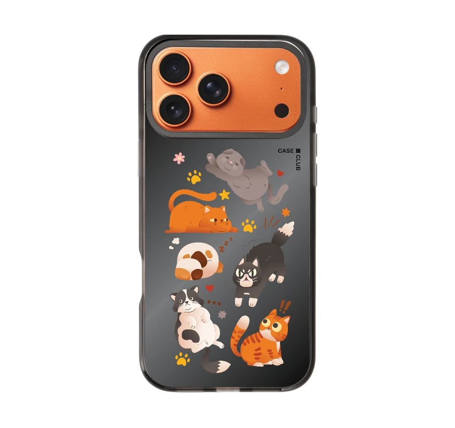 รวมแมวหลากอารมณ์