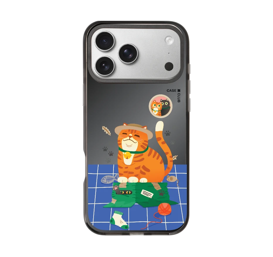 orange cat on the box