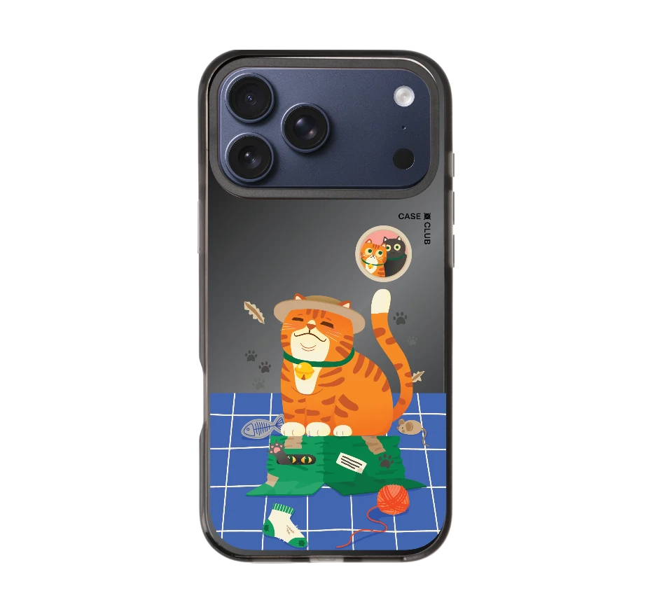 orange cat on the box