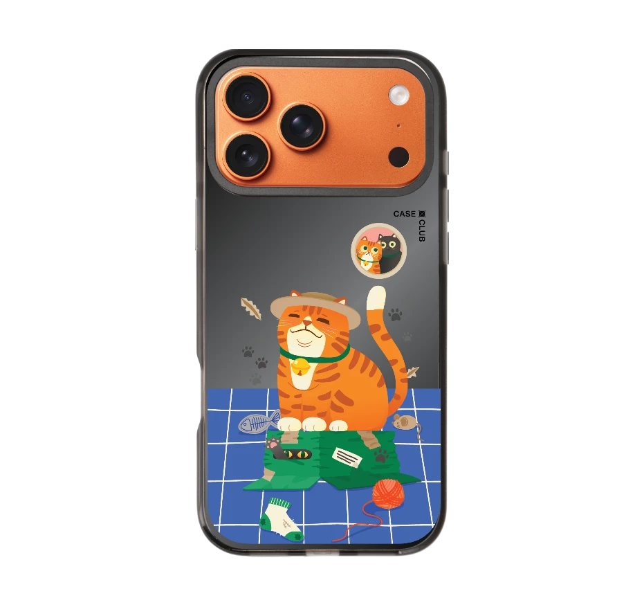 orange cat on the box