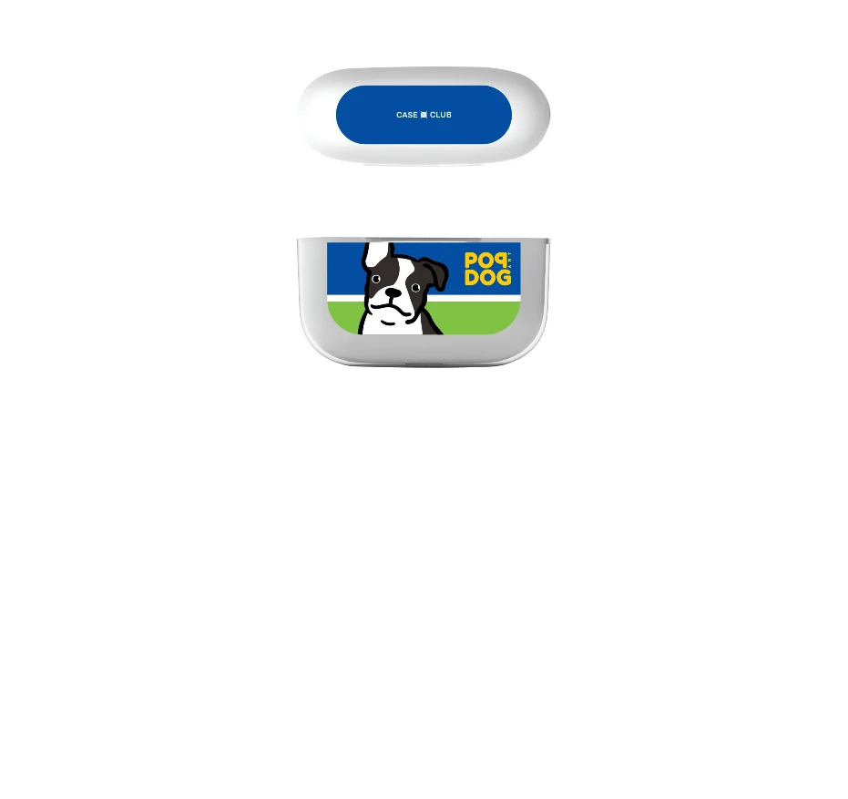 join the club บอสตัน เทอร์เรียร์