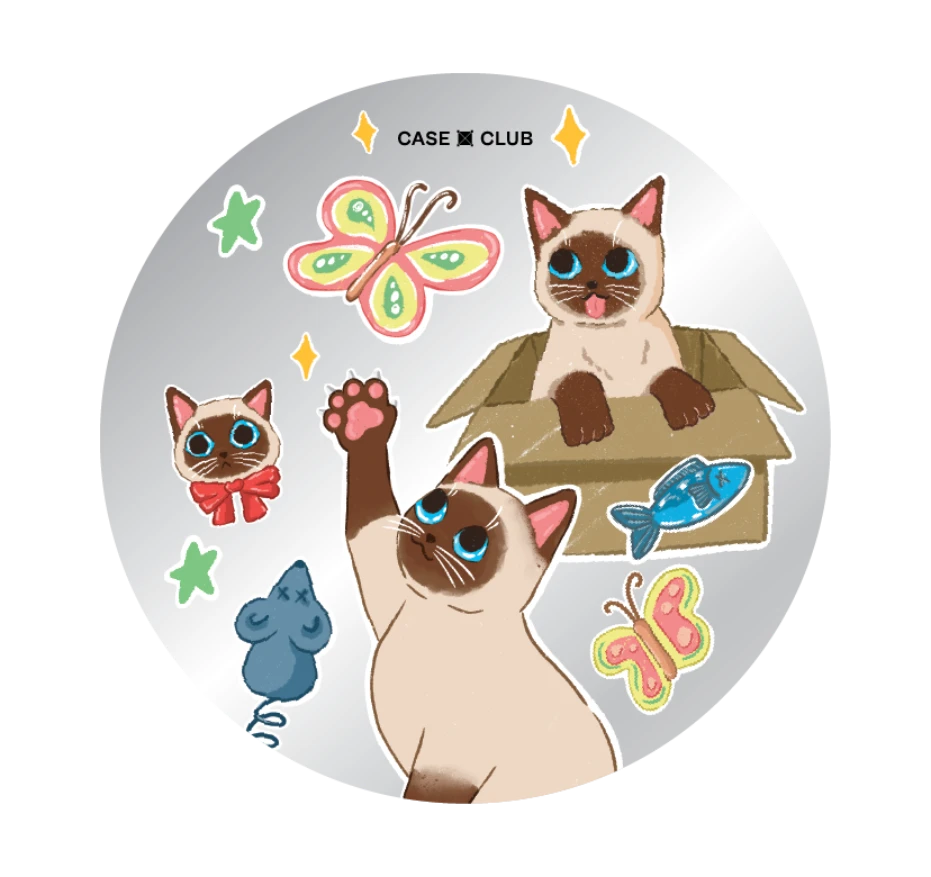 3 แมวป่วน