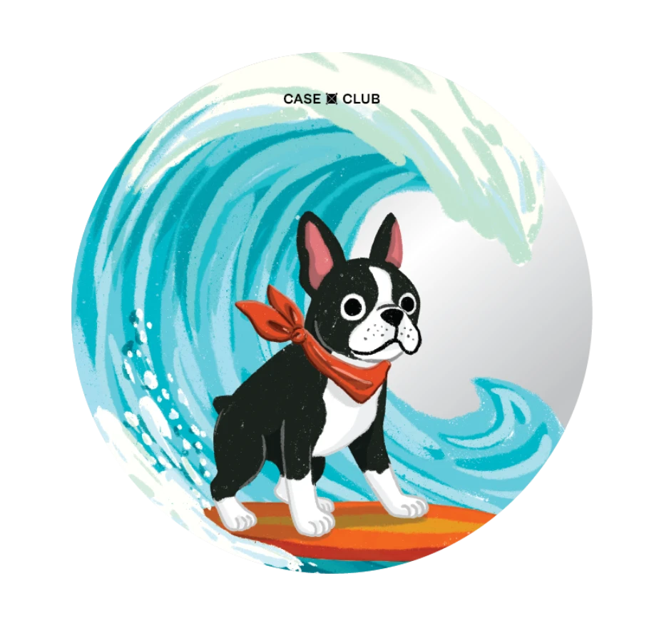 บอสตันเทอร์เรียร์โต้คลื่น